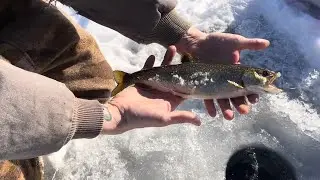 Red hotdogs and trout catch!! #maine # trout #fishing #adventure #outdoors #icefishing #2026
