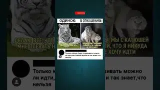 #прикол #мем #юмор #смехпродлеваетжизнь #смешновидео #мемы #смешнойшортс