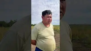 ✅ Хозяйство &laquo;Болат ЛТД&raquo; в этом году планирует получить по 70&ndash;80 тонн капусты с гектара