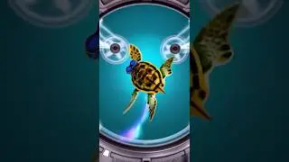 Time-Traveling Turtle Flips Into the Future! | #TimeWarp #SciFiShorts #TurtleAdventure