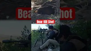 Chocolate Bear vs 25 Creedmoor - Kill Shot!