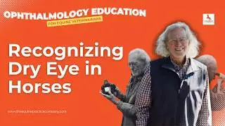 Recognizing Dry Eye in Horses Through Corneal Clarity