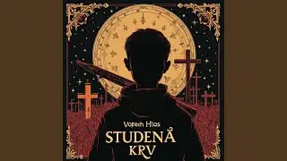 Cudzinec v Byte