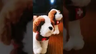 Кученцата от Швейцария! 🇨🇭🐶🐕➕ #cute #play #toys #toy #dog