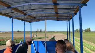 Trolley ride around Tualip Town 2021 !