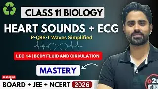 Heart Sounds & ECG Full Explanation | Body Fluid Circulation Lec 14 Class 11 NEET 2026 | NCERT PYQs