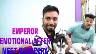 Emperor Emotional After meet bagheera ❤|Emperor Emotional |HYDRA BAGHEERA❤|HYDRA EMPERORPLAYS|#hydra