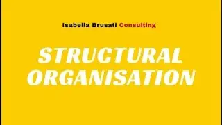 VIDEO 4 - PROCESS BASED ORGANISATIONAL STRUCTURE