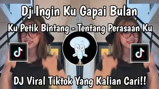DJ INGIN KU GAPAI BULAN KU PETIK BINTANG|| DJ TENTANG PERASAAN KU TREND TIKTOK TERBARU 2026