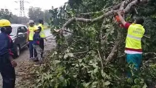 Civil Defence Wardens clearing the road after floods