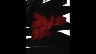 Timelapse - Night Bloom - Quick Digital Oil Painting with Adobe Fresco