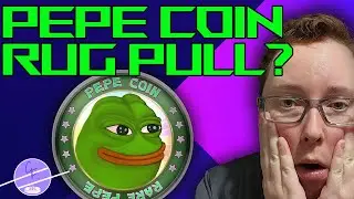 The Shocking Truth Behind PEPE COIN's 16% Crash and Shady Team Moves!