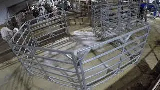 Bovine Spa Day - Stress-free Cattle Handling
