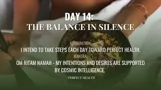 Day 14 | Perfect Health | 21-Day Meditation | Deepak & Oprah