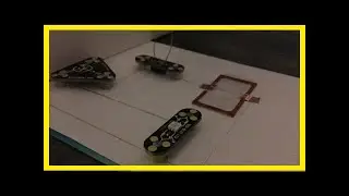 Bacteria self-organize to build working sensors