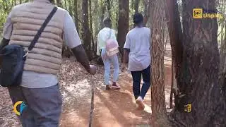 Highlights at Karura Forest crypto hangout with crypto n fun