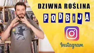 Dziwna roślina podbija Instagram [REUPLOAD] | NEWSY BEZ WIRUSA | Karol Modzelewski