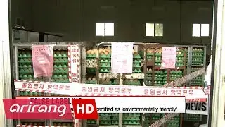 Government announces final results of eggs inspection