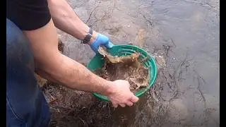 High Banking with moms new GoldiBox Washplant