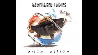 Barenaked Ladies Brian Wilson live 2025 06 07 Steven Page Trio Taste of Syracuse NY