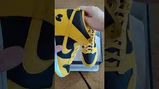 Кроссовки Wutang Nike Dunk за 10 000 долларов #кроссовки #кроссовок