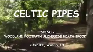 Celtic Pipes. Scene - The Woodland Footpath alongside Roath Brook
