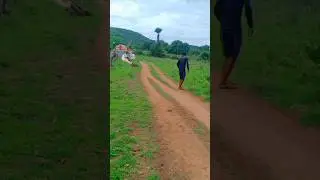 dinosaur attack #viralvideo #trending #viral #snake #trending