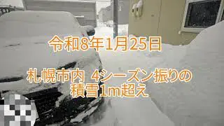 札幌が過去イチの大雪で酷いことに