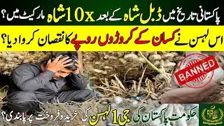 g1 garlic future| how to earn 2 crore from 1 acre in pakistan| asad abbas chisti