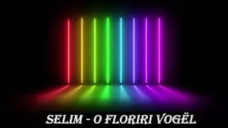 Selim Struga & Senat Sax Struga O Floriri vogel 2023