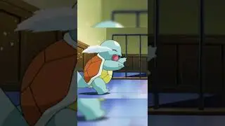 LOS INICIALES DE MAY  #pokemon #pokemoncomunidad #hoenn