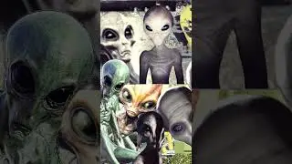 ALIEN ABDUCTION Cryptid Vol3 #viralshorts #shorts #alien #funny