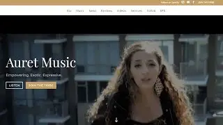 Wordpress Website for a Music Artist: Example Layout Using Divi Theme
