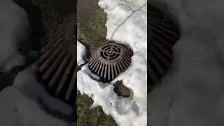 Snow is melting, Spring is coming- Saskatoon