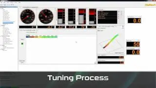 Flex Fuel Setup Tutorial - Haltech DIY