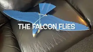 RC Bird RC Falcon Depron foam Drone KFm3 Airfoil