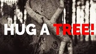Hug A Tree