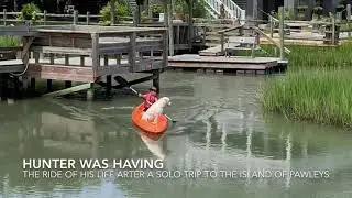 My dogs hunters adventure stupid dog lol