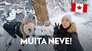 NEVOU DEMAIS! Inverno chegou em VANCOUVER + primeira aula de direção + comprei os vestidos! 🇨🇦
