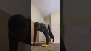 Everyday is day one. 100 Burpees