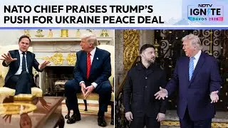 Ukraine Peace Deal | Mark Rutte Praises Donald Trump&rsquo;s Push For Ukraine Peace Deal