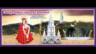 🔴 Live - Our Lady Of Snows Shrine Holy Mass 27.07.24 T.Kallikulam | Vinmeen Music