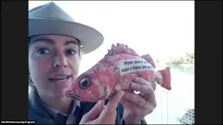 Explore Marine Protected Areas at Morro Bay State Park