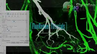 FluoRender Tutorials: Grow Selection Tool