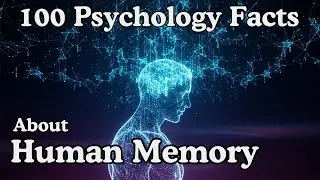 100 Psychology Facts About Human Memory to Fall Asleep To | AudioBook