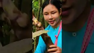 17 year old girl digs wild bamboo shoots to sell at the market, Forest Girl #walkingtree #food