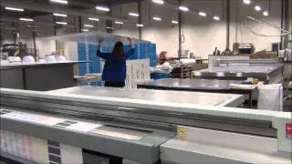Beelite, creating eye-catching displays
