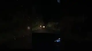 Night car driving in forest #cardriving #forestnight #scarydrive #nightjourney