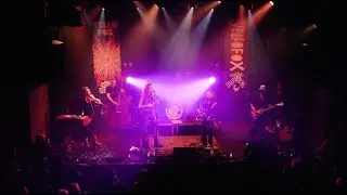 Yellofox - For the Dreamers (Live) @ Paard