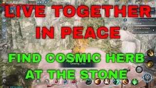 Mir4 Request Quest Clue: Live Together in Peace Find Cosmic Herb at the Stone Pagoda Guide